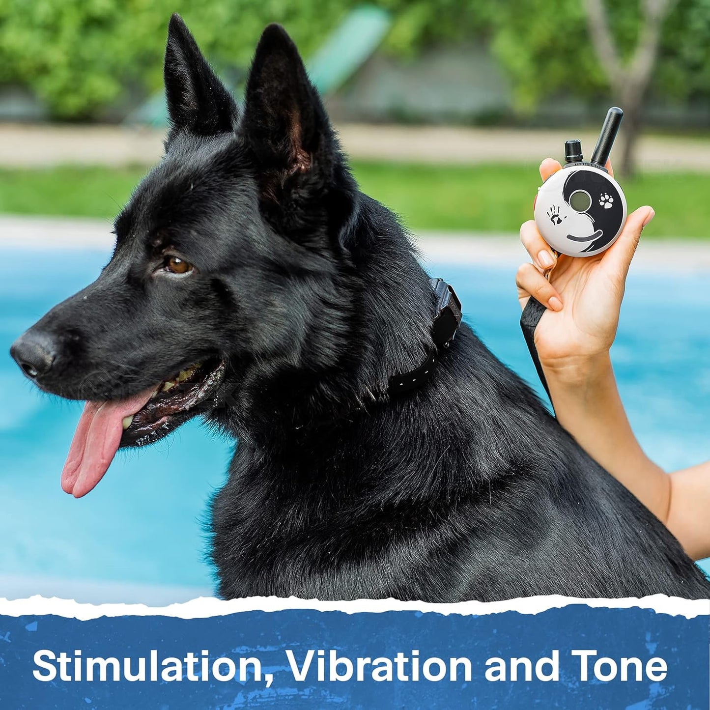 E-Collar - ET-300ZEN - 1/2 Mile Remote Waterproof Trainer Mini - Static, Vibration and Sound Stimulation Collar with Petstek Dog Training Clicker