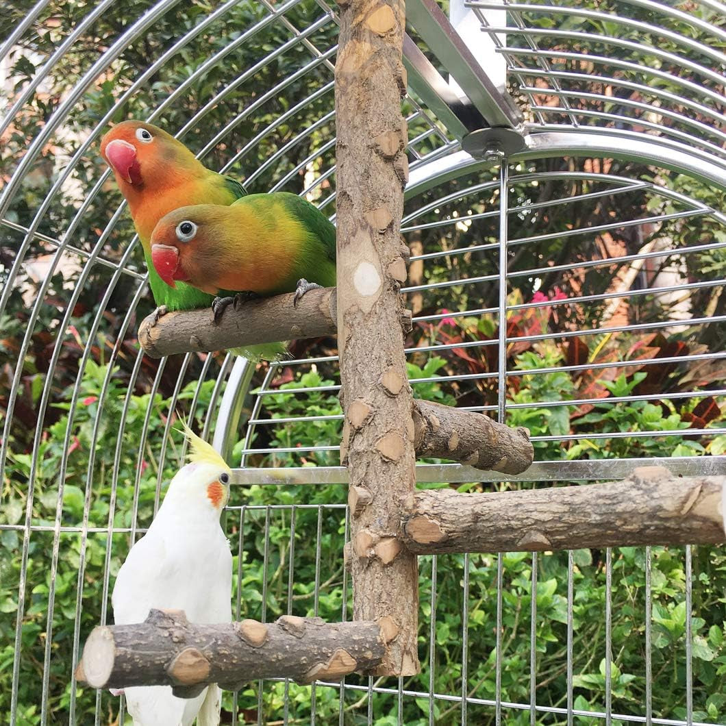 Bird Perch Nature Wood Stand for Small Medium Parrots