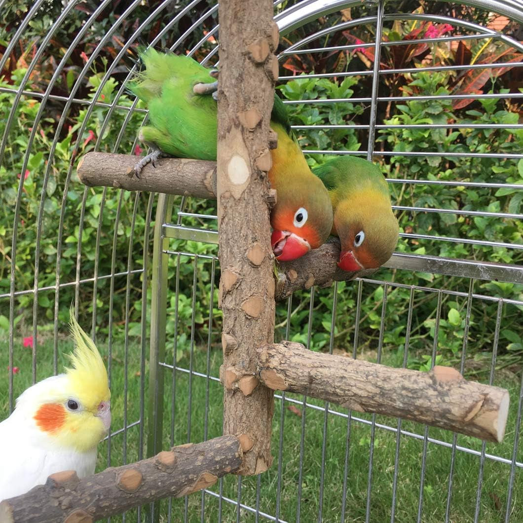 Bird Perch Nature Wood Stand for Small Medium Parrots