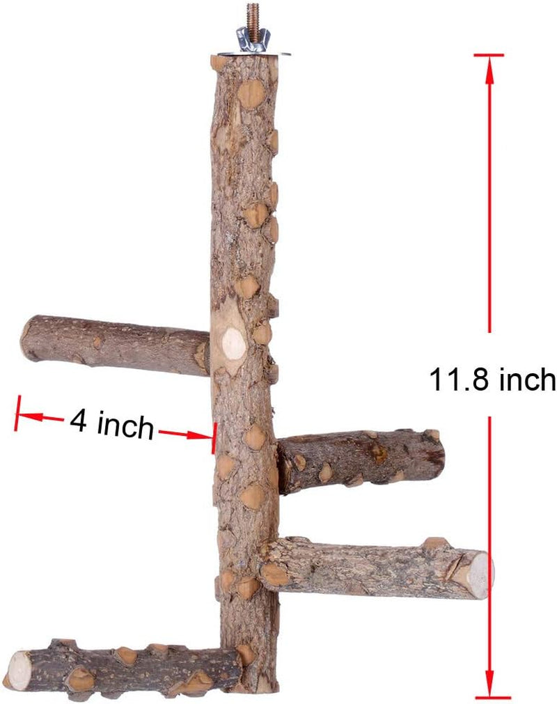 Bird Perch Nature Wood Stand for Small Medium Parrots