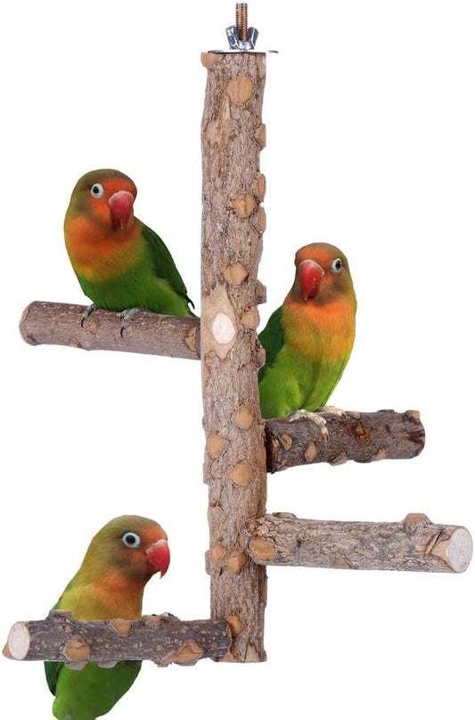 Bird Perch Nature Wood Stand for Small Medium Parrots