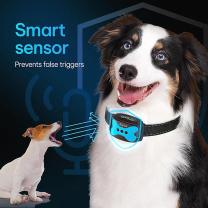 Dog Bark Collar | Smart Collar for Dog Training | Beep & Vibration | Rechargeable & Waterproof | No Shock Collar for Dogs | anti Bark Collar for Large Dog, Medium Dog, Small Dog | 12-110 Lbs