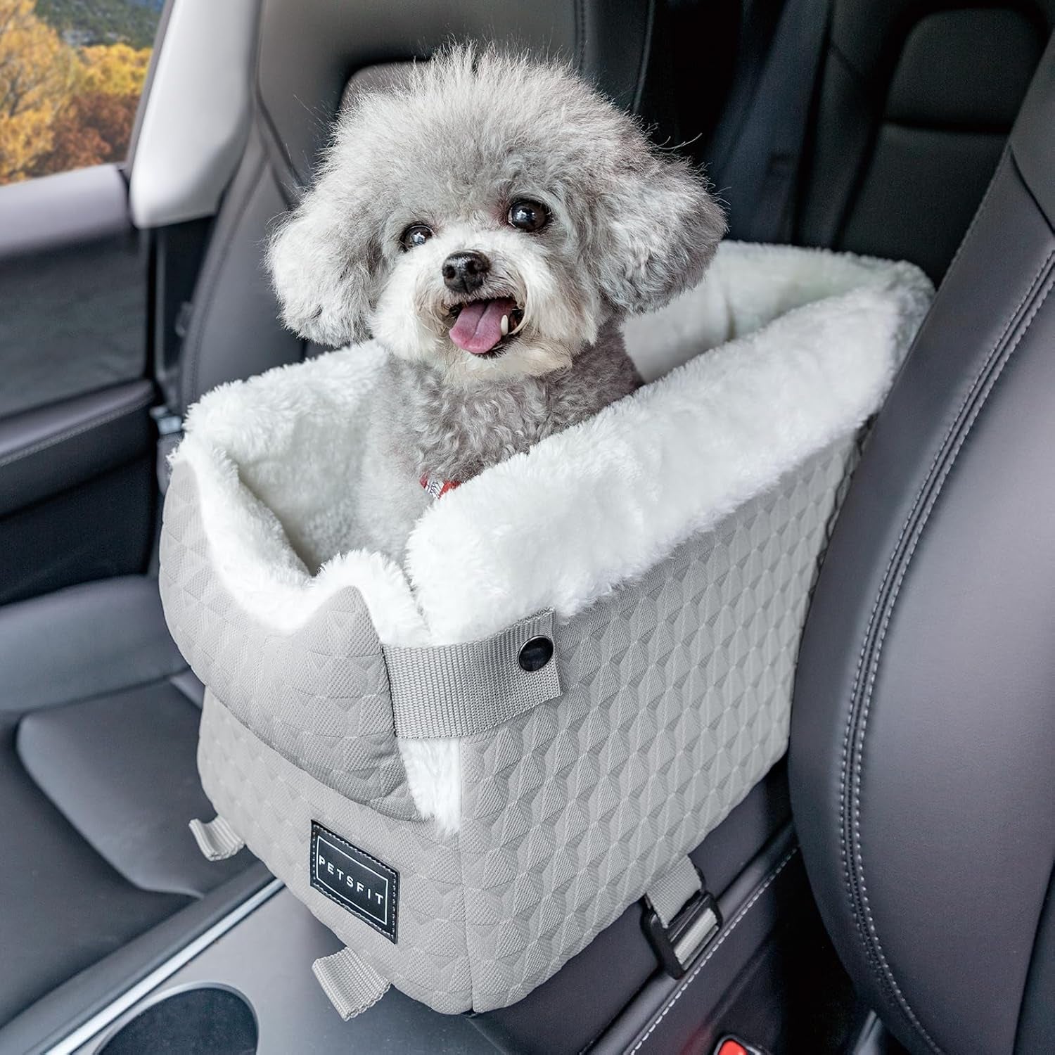 Dog Car Seats for Small Dogs with Safe Protection Hooks, Small Dog Car Seat with Upgraded Safety Tethers, Washable Cushion, Center Console Dog Car Seat (Light Grey)